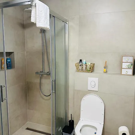 D Mol טוזלה